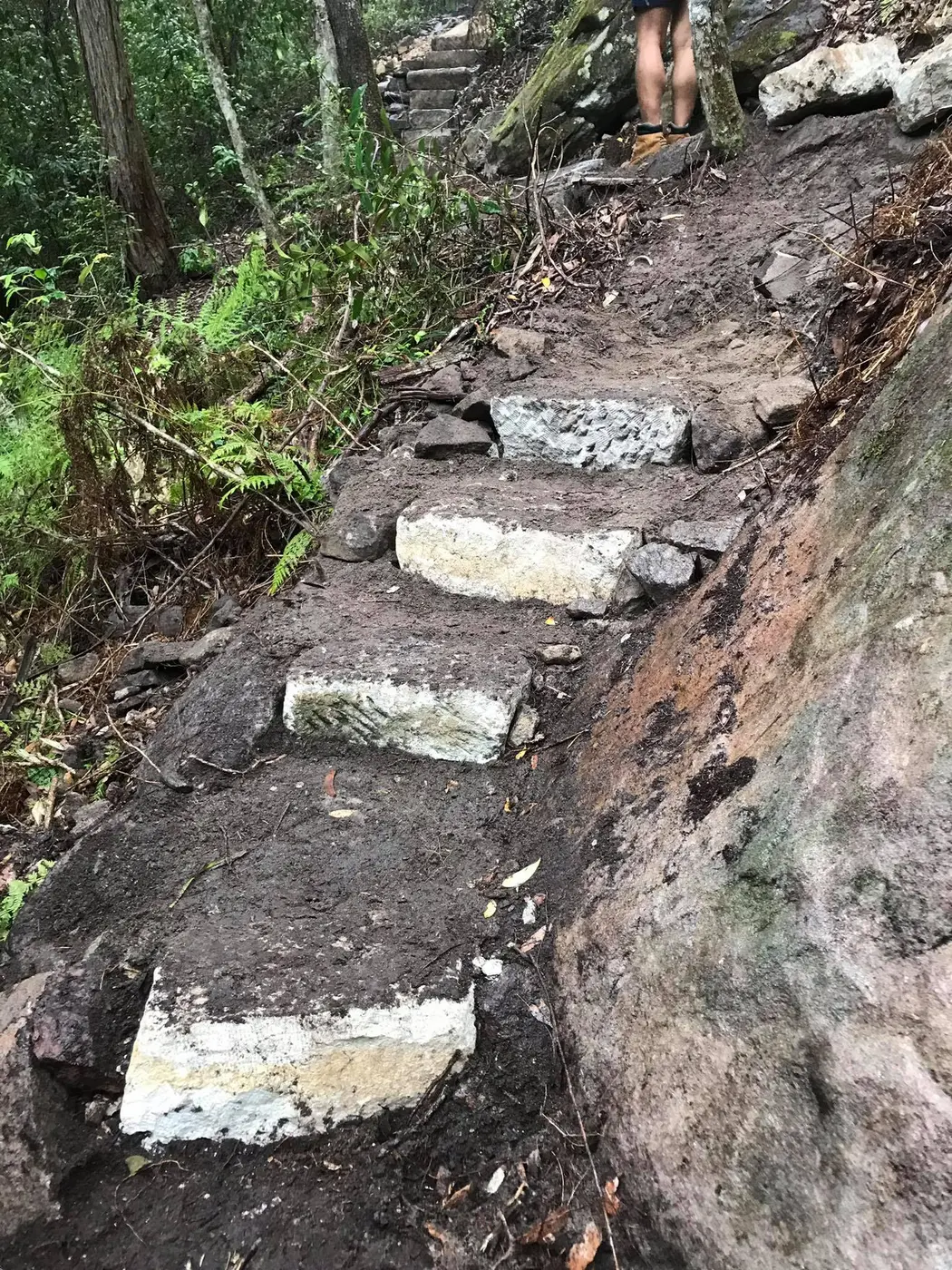 Hand-set stone steps climbing through steep native bushland
