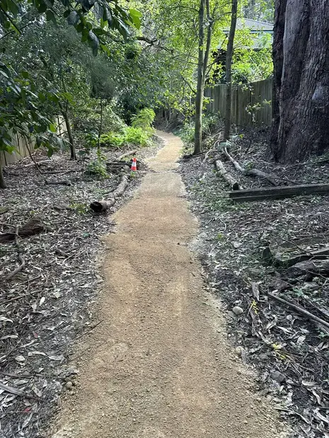 New natural-surface walking track through established bushland
